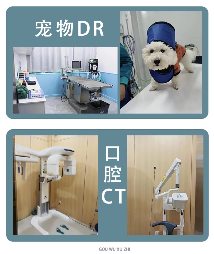 1704519117903526.jpg 6.jpg